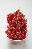 Redcurrants in a plastic punnet