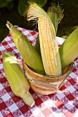 Corn cobs in wooden bucket