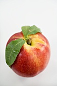 A nectarine