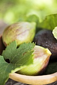 Three figs with leaf in a bowl