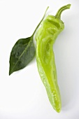 A green chili pepper