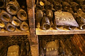 Weinflaschen mit Burgunder im Keller des Château de Pommard