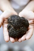 A summer truffle
