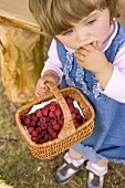 Small girl holding a basket of raspberries