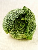 A savoy cabbage