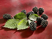 Blackberries with leaf