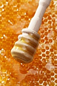 A honey dipper above a honeycomb