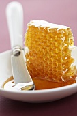 Honeycomb with knife on a plate