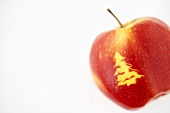 A 'Christmas apple'