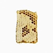 A piece of honeycomb
