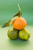 Clementine mit Blättern auf drei Limetten