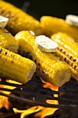 Corn on the cob with herb butter on barbecue