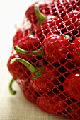 Viele Kirschpaprika in rotem Netz