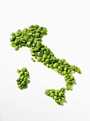 Basilikum in Form der Landkarte von Italien