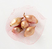 Five shallots on a net (overhead view)