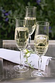 Three glasses of sparkling wine on silver tray at garden party