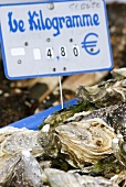 Fresh oysters with price sign on a market stall (France)