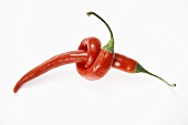 Two chillies, one twisted around the other