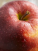A Jonagold apple (close-up)