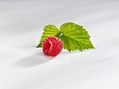 A raspberry with leaves