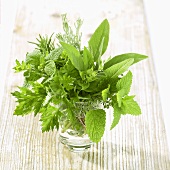 Bunch of herbs in a vase