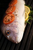 Bream with tomato and lemon slices on barbecue (raw)