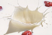 Strawberries falling into milk (full-frame)