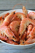 Dish of fresh prawns