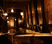 Wooden barrels in wine cellar