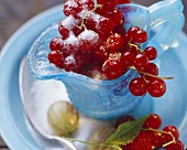 Redcurrants with sugar in a glass