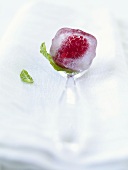 Raspberry frozen in an ice cube on a glass spoon