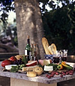 Cheese, pies, baguettes, wine on table under a tree