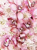 Ein Blumenstrauss in pink (bildfüllend)
