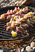 Meat and vegetable kebabs on a barbecue