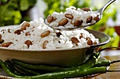 Reis mit Bohnen (beliebt in Brasilien und der Karibik)