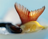 Picture symbolising fish dishes (red snapper, lemon, shellfish)
