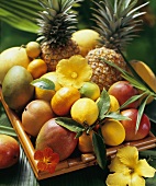 Exotic fruit on bamboo tray