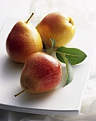 Three pears (variety: Forelle)