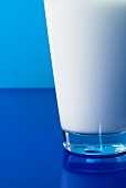 Ein Glas Milch vor blauem Hintergrund