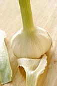 A fresh garlic bulb