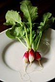 Three radishes on a plate