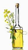 Eine Flasche Rapsöl mit Blüte