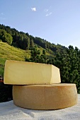 Cheeses against a mountain landscape
