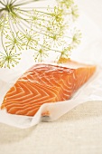 A salmon steak with dill flower