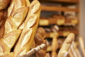 Baguettes in a baker's shop