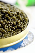 Caviar in opened tin