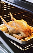 Partly cooked roast chicken in a roasting tin in the oven