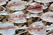 Tintenfische liegen auf einem Gitter zum Trocknen (Thailand)