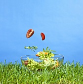 Vegetables and salad falling into a bowl of water on grass
