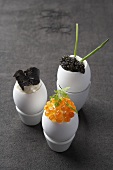 Drei gekochte Eier in der Schale mit Kaviar und Trüffel